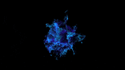corpfalconesec ecuador guayaquil falcones falconescorp GIF