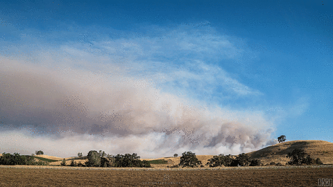 california wildfire GIF
