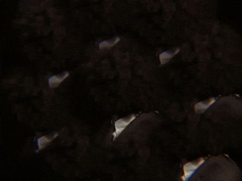 Happy Oh Yeah GIF by GIPHY IRL