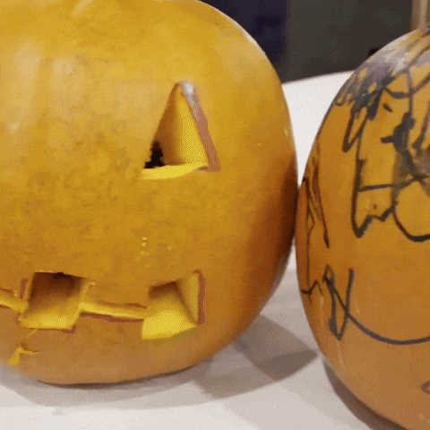 Fun Decorate GIF by Jennifer Greenhill