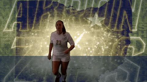 GIF by Akron Zips