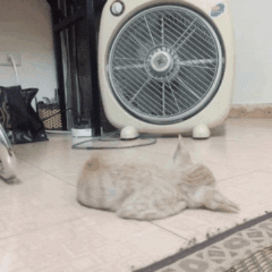 VitSoonYoung giphygifmaker giphygifmakermobile GIF