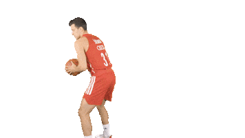 Fc Bayern Bbl Sticker by FC Bayern Basketball