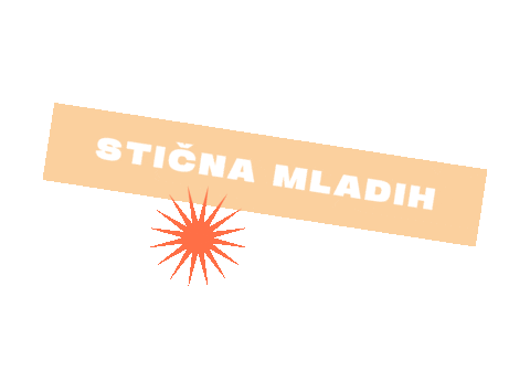 sticnamladih giphyupload sm sticna stična mladih Sticker