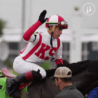 TwinSpires  GIF