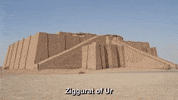 Middle East Arab GIF