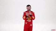 Happy Top 10 GIF by Richard Childress Racing