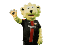 soccer Sticker by Bayer 04 Leverkusen