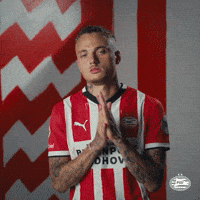 Eindhoven Lang GIF by PSV