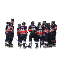 newcastlewildcatsbuiha ice hockey newcastle university ncluni newcastle wildcats Sticker