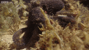 Water Ocean GIF by plusQA_test_partner