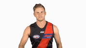 essendonfc dons bombers essendon hurley GIF