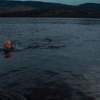 britishswimming swimming scotland loch open water GIF