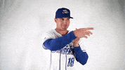 Baseball GIF by Omaha Storm Chasers