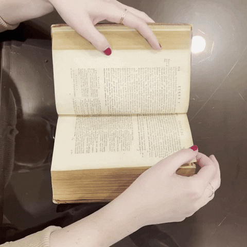 Books Reading GIF by Loyola University Archives and Special Collections