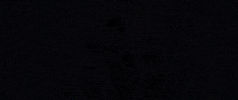Bollywood Bank Chor GIF by bypriyashah