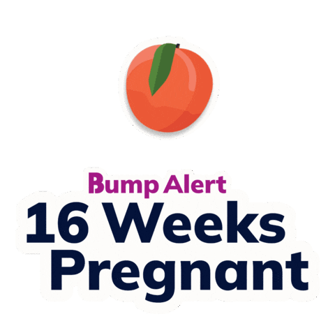 Pregnancy Expecting Sticker by The Bump