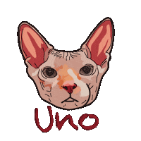 Cat Sphynx Sticker