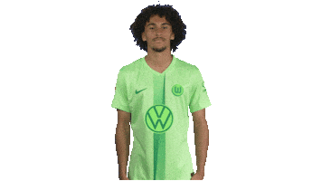 France Deal With It Sticker by VfL Wolfsburg