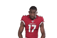 Count It Arizona Cardinals Sticker by NFL