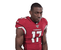 Arizona Cardinals Football Sticker by NFL