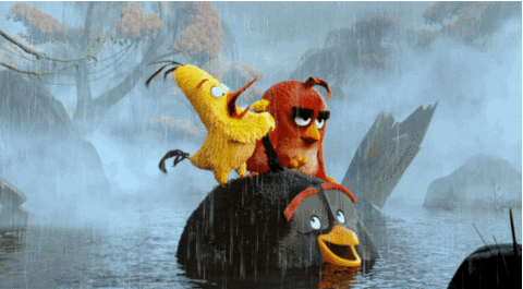 the angry birds movie swimming GIF by Angry Birds