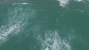 The Ocean Water GIF by Yevbel
