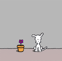 Dogs Love GIF by Chippy the Dog