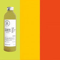 antidotejuice kombucha antidote GIF