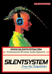 Silentdisco Silentparty GIF by Silentsystem Audio
