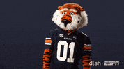 College Football Sport GIF by DISH