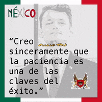 ChrisTDLMexico mexico equipo empresa emprendedor GIF