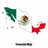 Mexico Flag GIF by Formación Ninja
