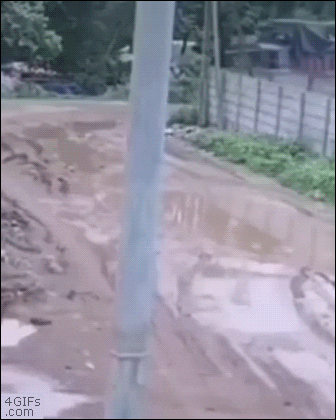 DailyDoseOfAwesome giphyupload GIF