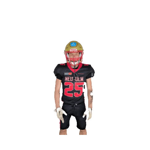 Neu Ulm Football Sticker by neu-ulm-spartans