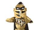 ucf football laughing Sticker by UCF Knights