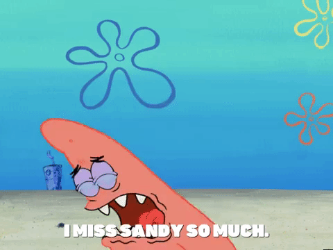 season 5 episode 10 GIF by SpongeBob SquarePants