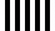 Football Sport GIF by SK Sturm Graz
