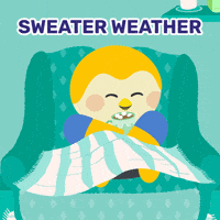 Happy Sweater Weather GIF by Finch Care