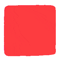 Check It Out Brand New Sticker