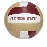 college sports Sticker by Florida State University
