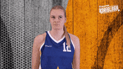 Sport Hoops GIF by Basket_fi
