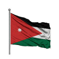 Amman Sticker by All Jordan Youth Commission