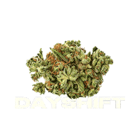 Weed Cannabis Sticker by Kingsway