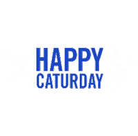 Caturday Sticker by lifeatchewy