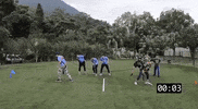 Tiger GIF