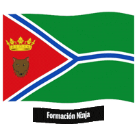 Bandera Zaragoza Sticker by Formación Ninja