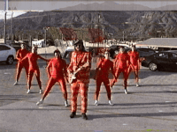 sub pop cameron dutra GIF by Sub Pop Records