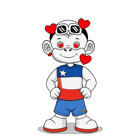 Lone Star Texas Sticker by Zhot