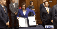 Nancy Pelosi GIF by GIPHY News